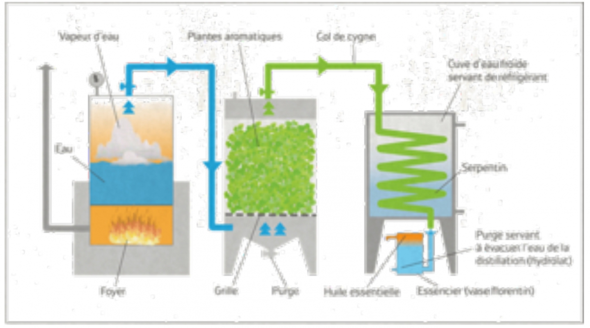 Méthodes d'extraction