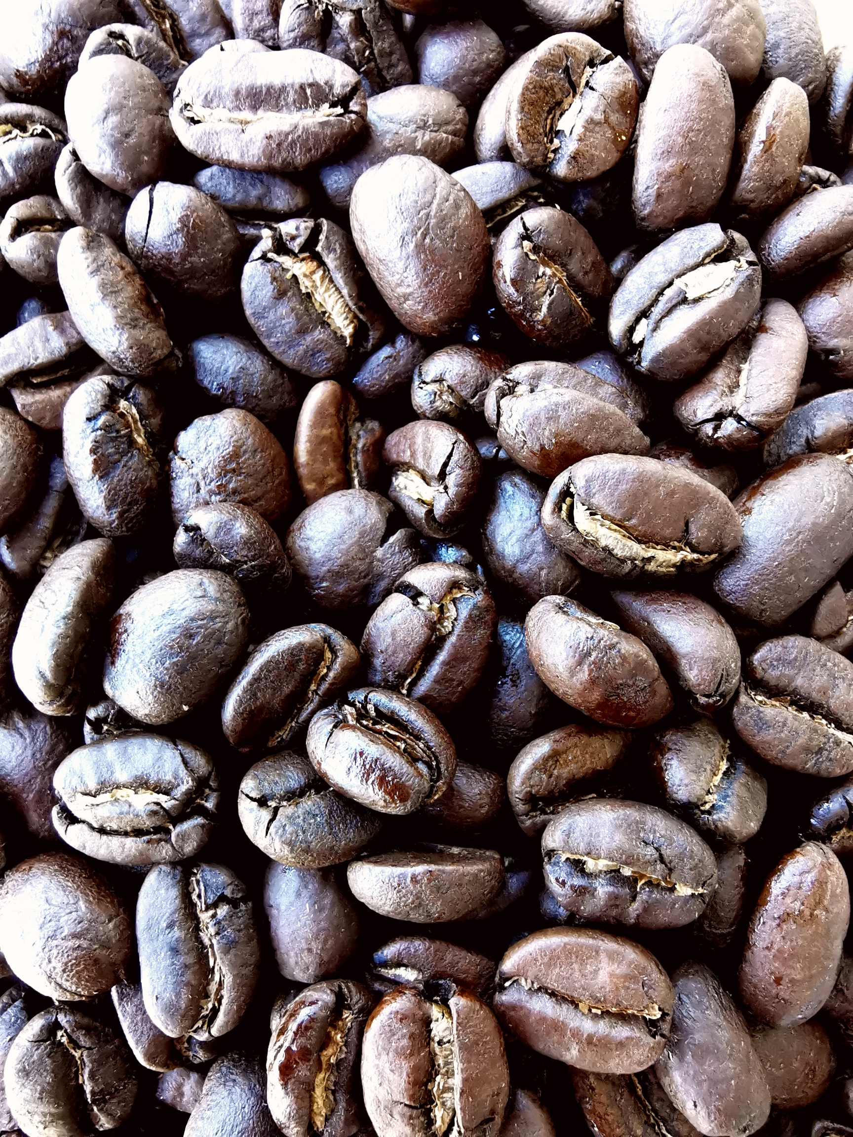 café en grain, coffee beans