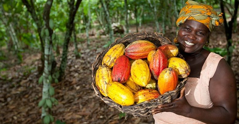 Beurre de cacao - disponible sur NaturoMarket