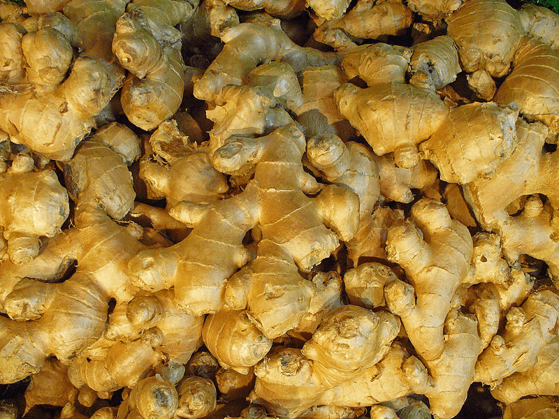 Gingembre, ginger