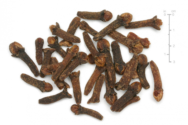 giroflier (clous), clove bud