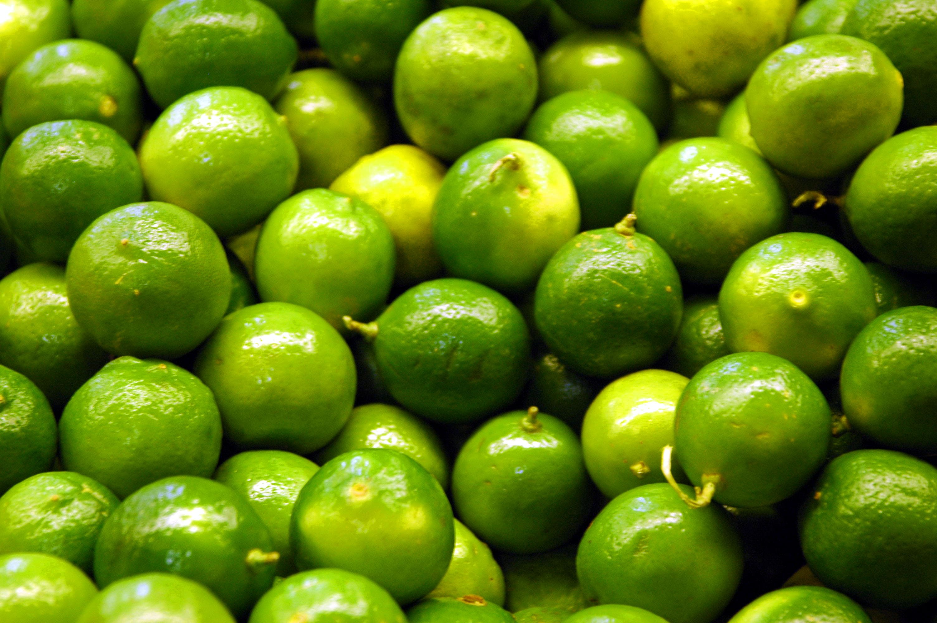 Lime Huile Essentielle 100 Pure Et Naturelle ZAYAT AROMA