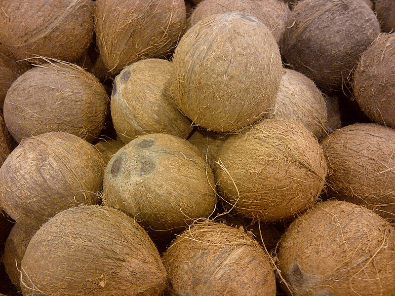 Noix de Coco BiO Fractionnée, Huile végétale pure (Cocos nucifera