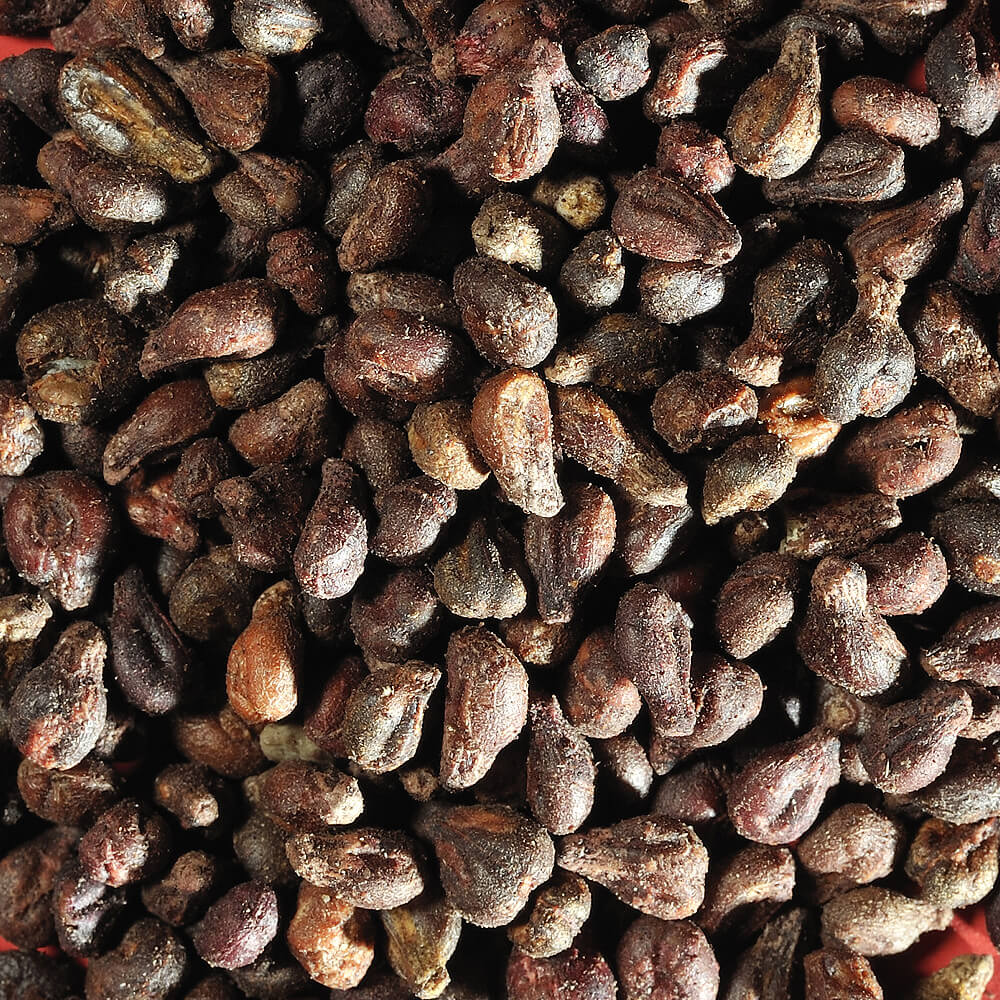 Utilisations de l'huile de pépins de raisin