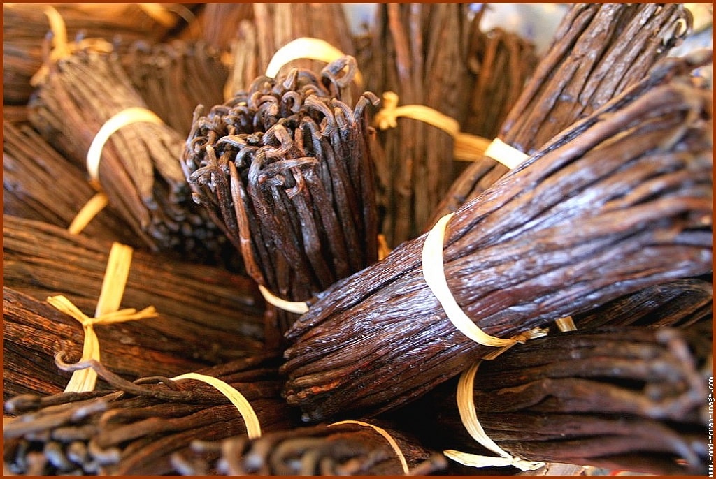 The Magical Properties and Uses of Vanilla and Cinnamon