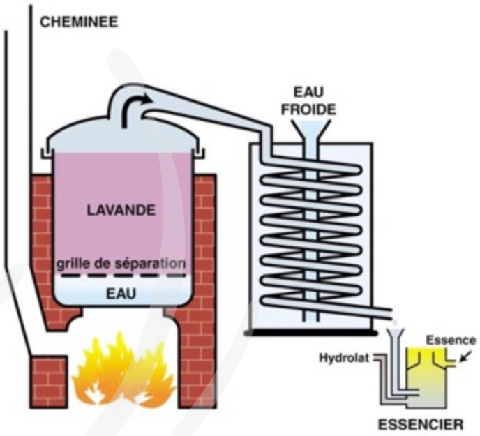  steam distillation