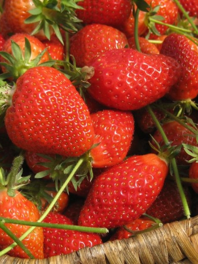 fraise Strawberry