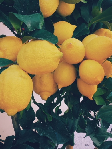 Citron jaune, yellow lemon