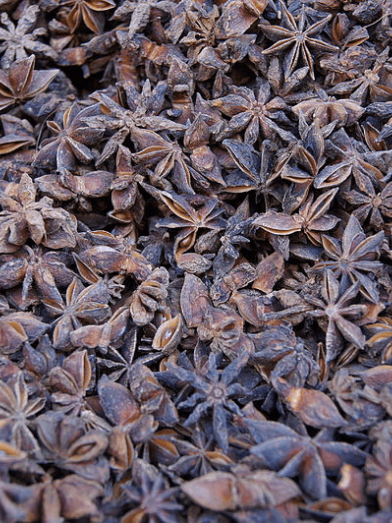 Anis étoilé, badiane, star anise