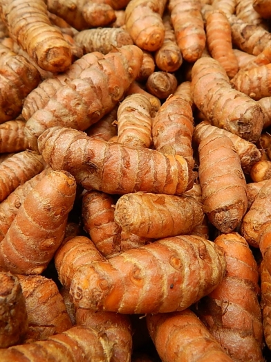 Curcuma, turmeric