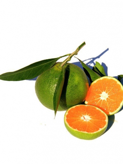 Mandarine verte, green mandarin