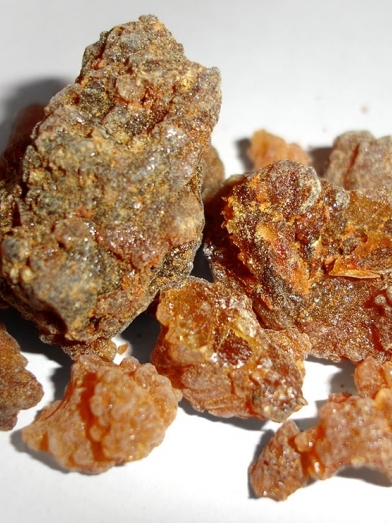Myrrhe, myrrh