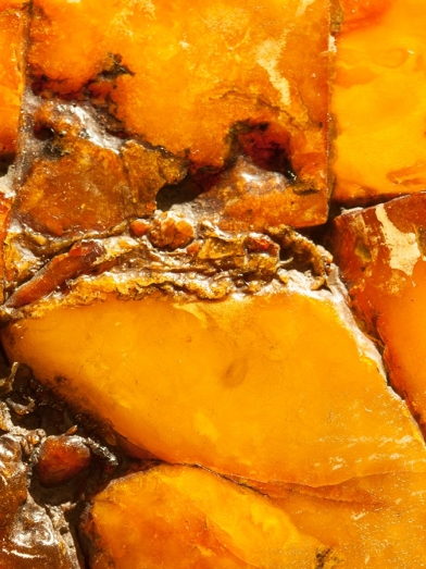 Opoponax