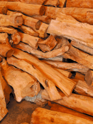 Santal Amyris, sandalwood amyris