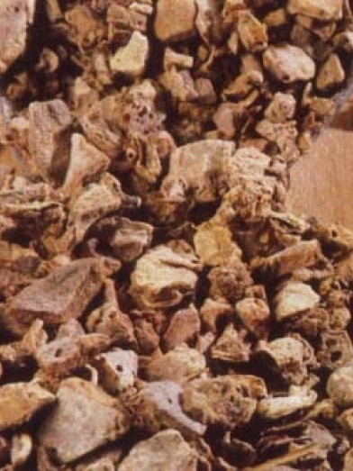Zédoaire biologique, organic zeodary